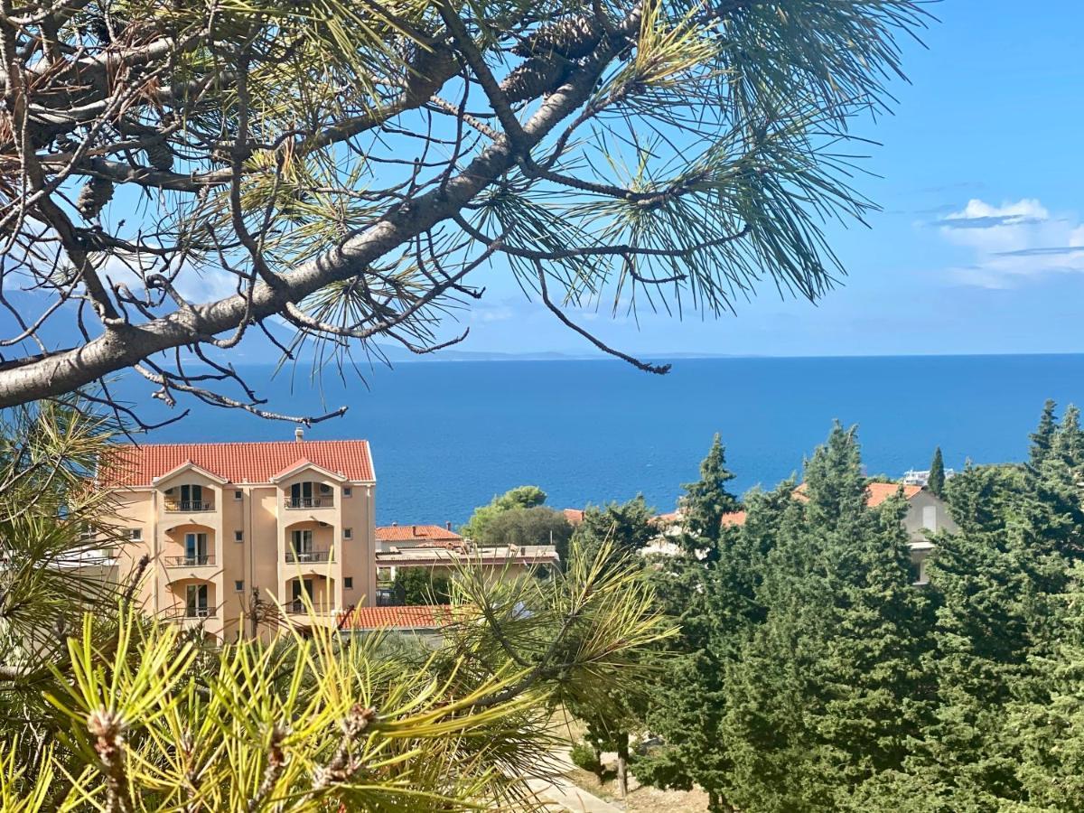 Apartments Grozdana Gradac  Zewnętrze zdjęcie
